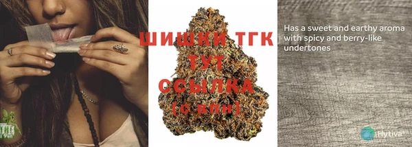 стафф Михайловск