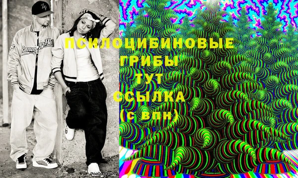 стафф Михайловск