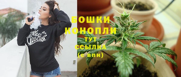 стафф Михайловск