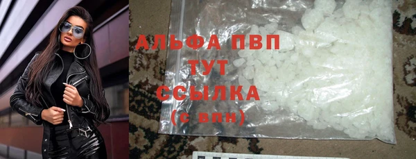 стафф Михайловск