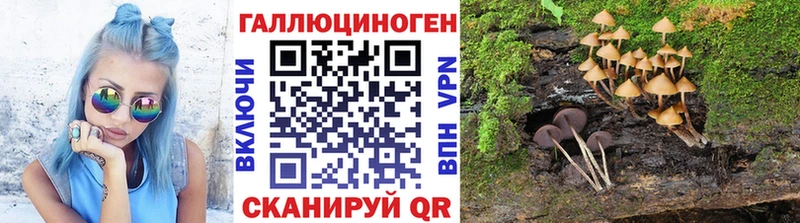 Купить  Чайковский  Галлюциногенные грибы GOLDEN TEACHER 
